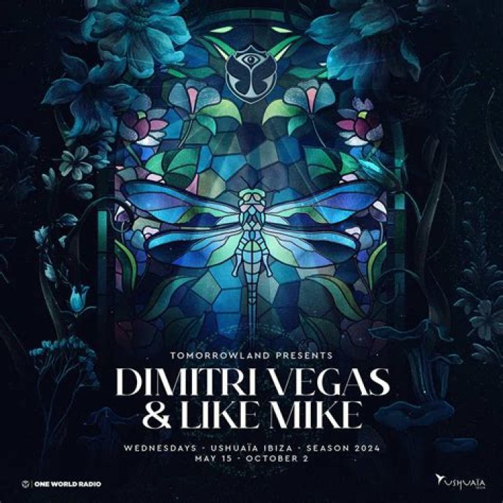 Dimitri Vegas & Like Mike Fortune