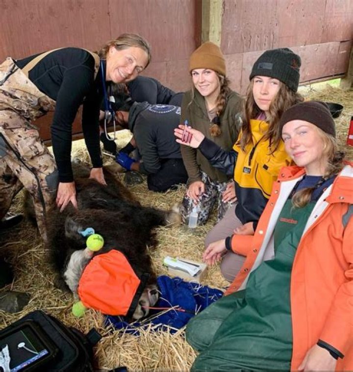 Maya Oakley Yukon Vet Age, Height, Wikipedia, Boyfriend, Illness