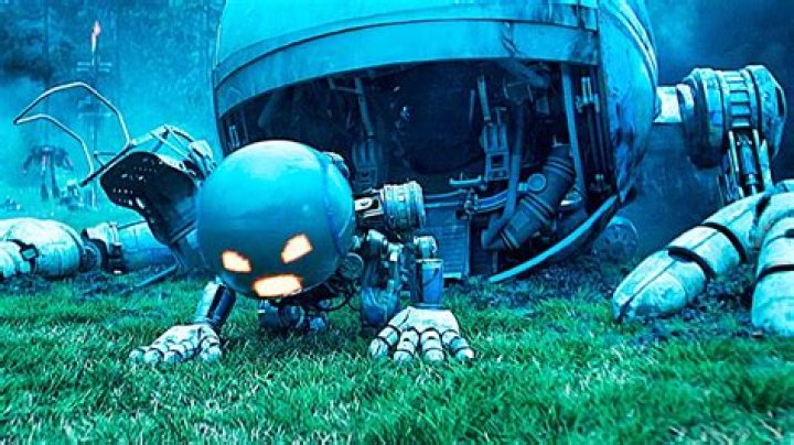 Top 5 Kaitlyn Herman Wiki Facts