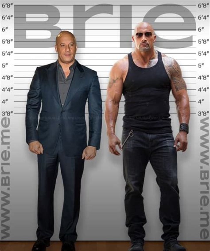 Vin Diesel Height Weight and Body Measurements