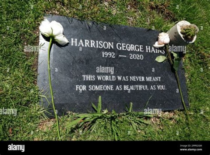 Who Is Harry Hains Dating? Explore His Wiki Facts And Net Worth!